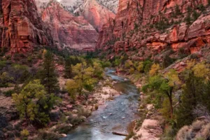 Zion canyon walls and river view
